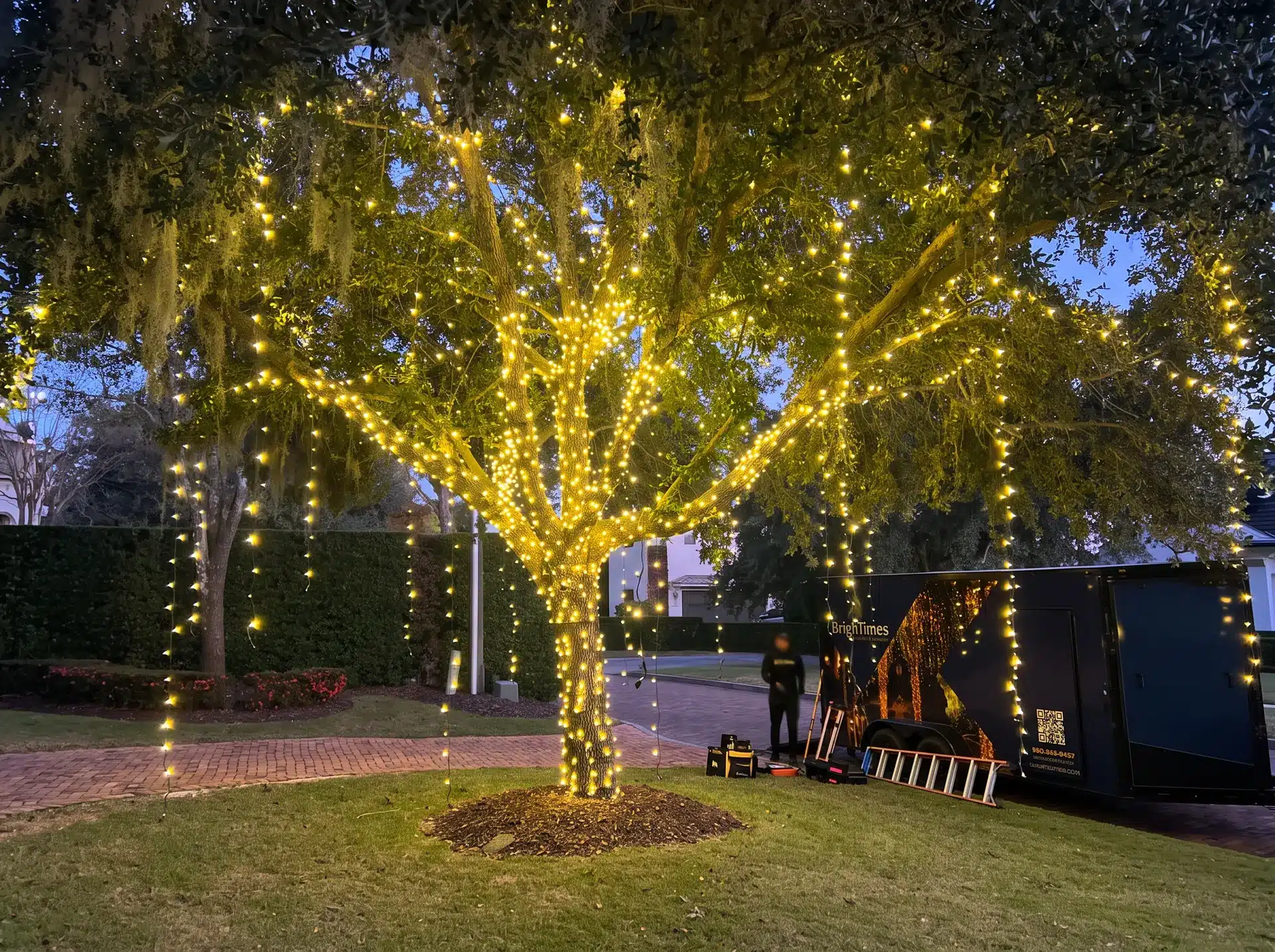 BrighTimes crew installing Christmas lights on a large tree