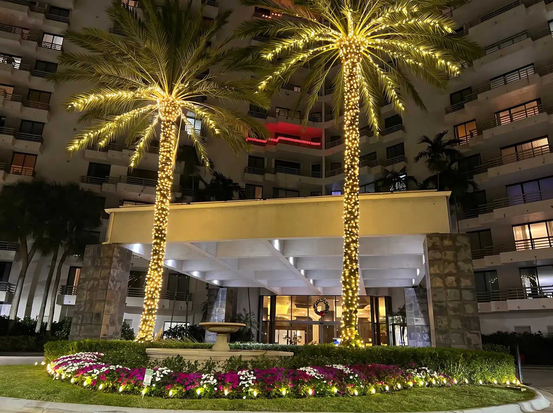 Commercial building entrance with palm trees wrapped in warm white Christmas lights